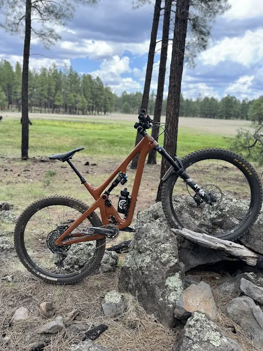 Junction Bike Company and Rentals Picture 7