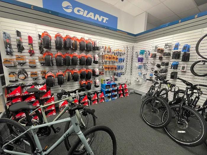 Junction Bike Company and Rentals Picture 8