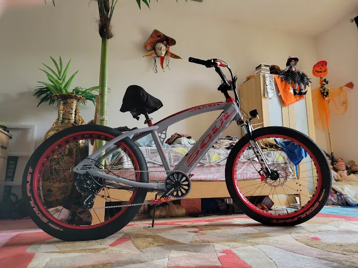 SOUL FAST E Bikes Picture 8