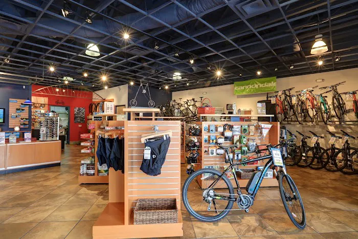 Curbside Cyclery Picture 6