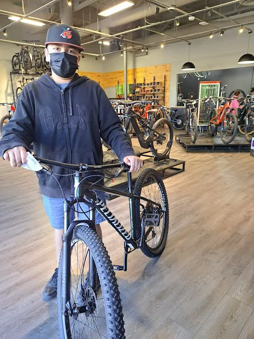Bike Masters - Ahwatukee Picture 7