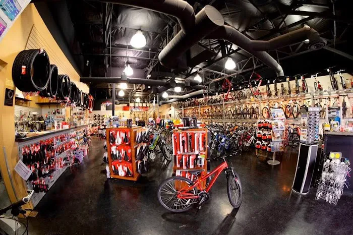 Global Bikes & E-Bikes Picture 2