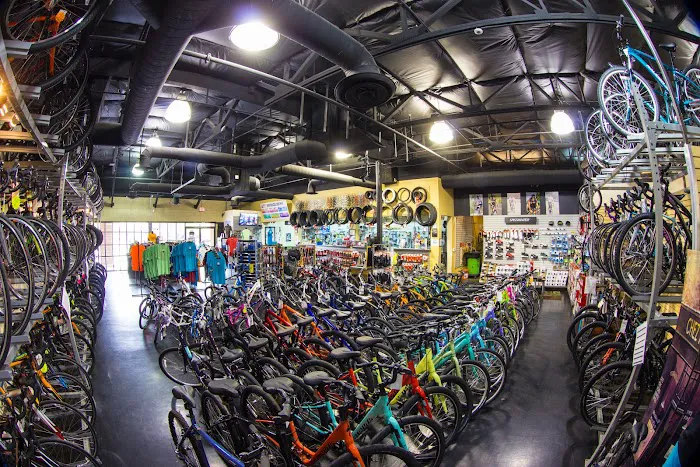 Global Bikes & E-Bikes Picture 9