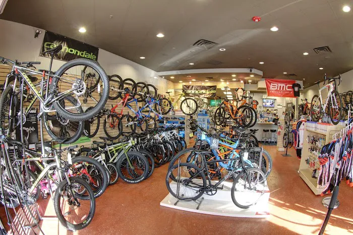 The Bike Shop Picture 2