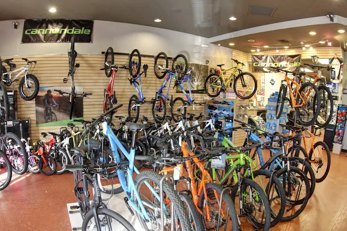 The Bike Shop Picture 5