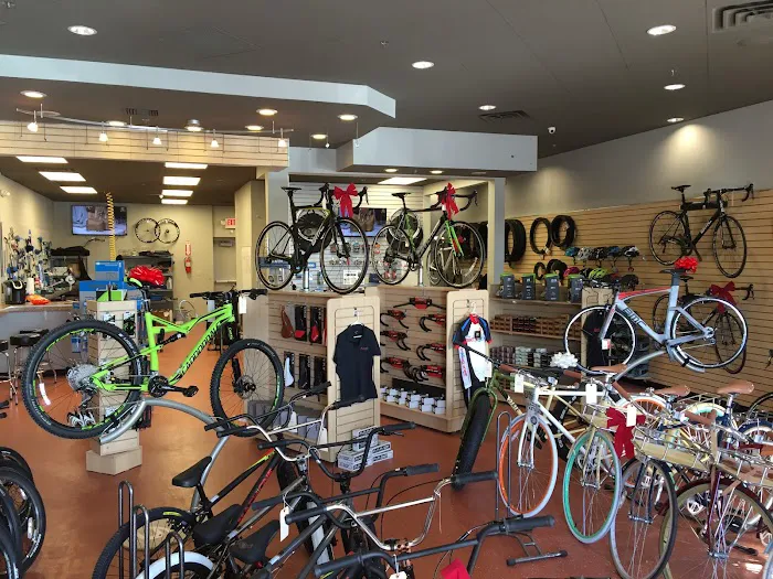 The Bike Shop Picture 7