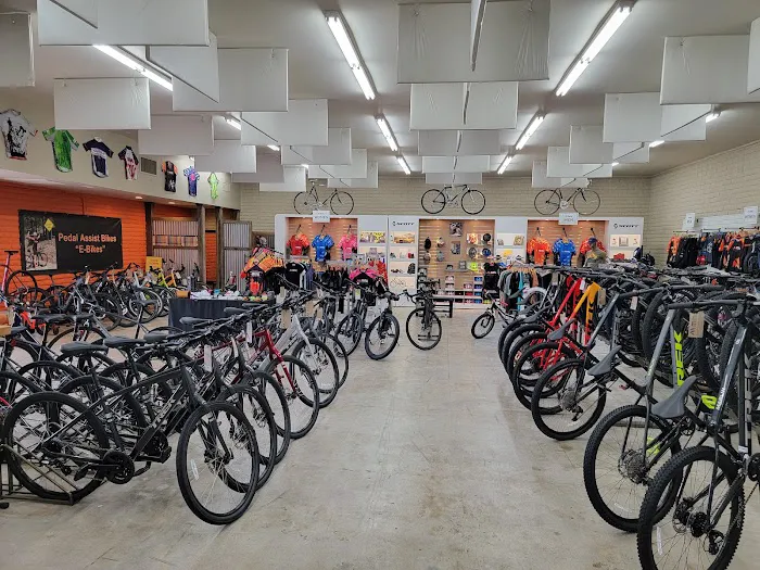 McDowell Mountain Cycles Picture 3