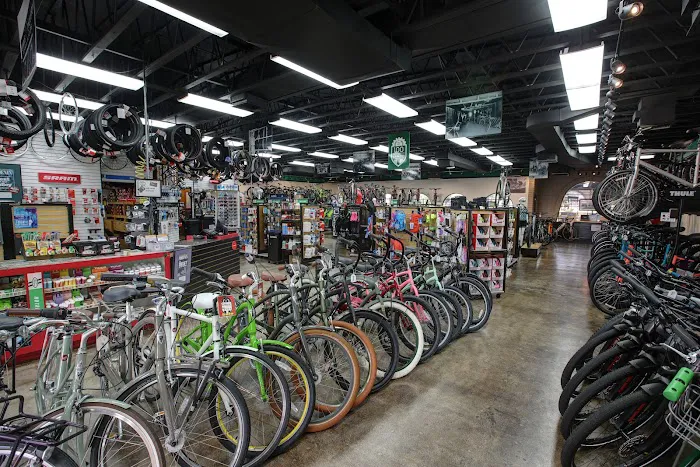 Landis Cyclery Picture 1