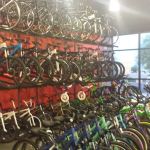 San Tan Bikes