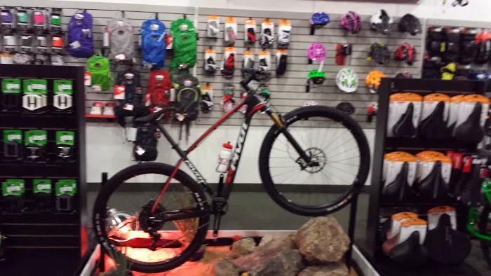 San Tan Bikes Picture 4