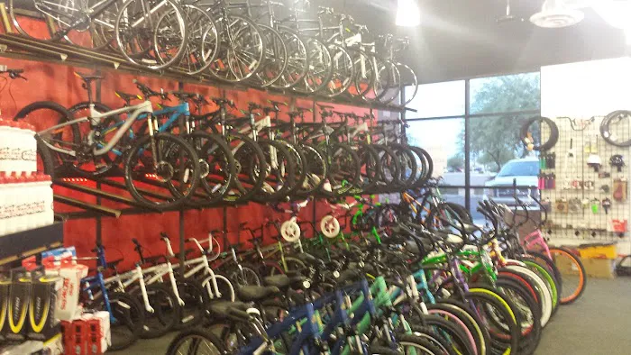 San Tan Bikes Picture 6