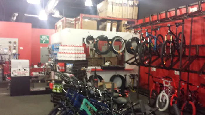 San Tan Bikes Picture 7