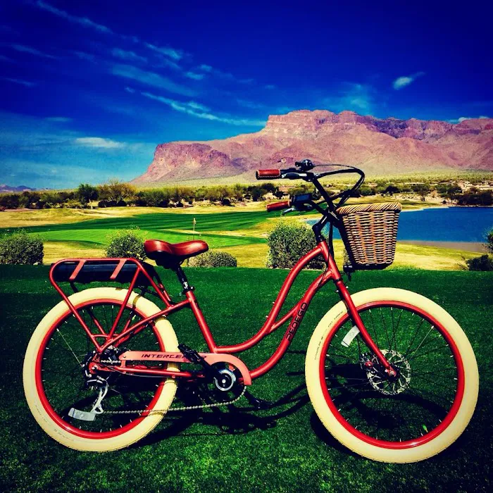 The Electric Bike Shop Picture 8