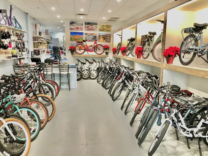 The Electric Bike Shop Picture 9