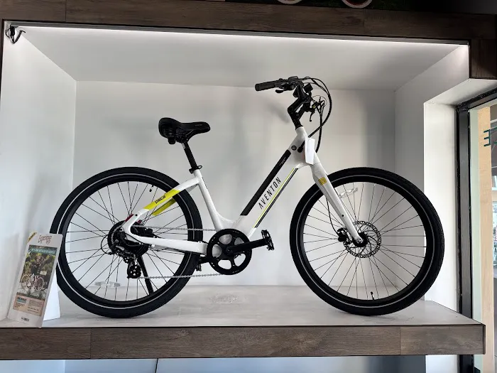 Pedego Electric Bikes McDowell Mountain Picture 2