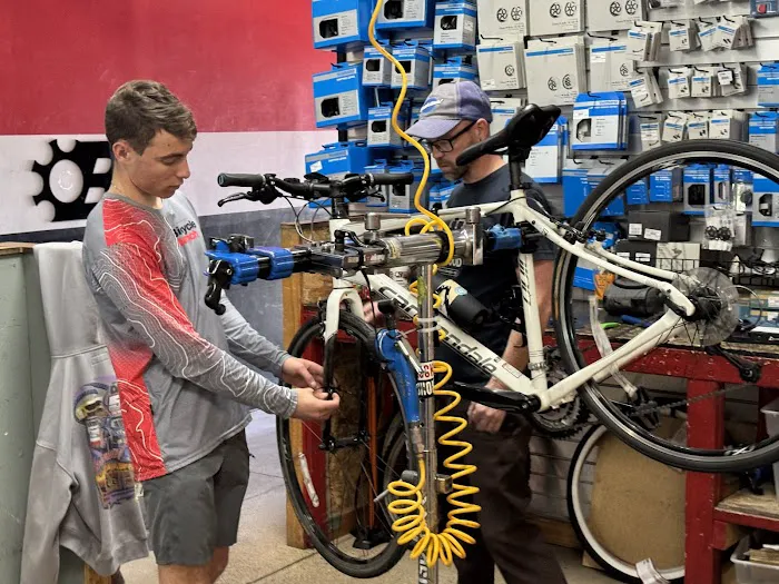 Bicycle Ranch Picture 7