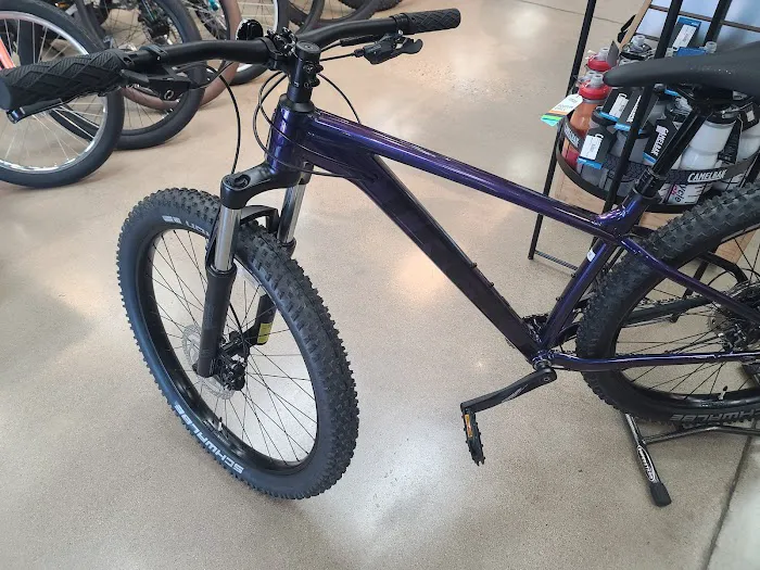 Bicycle Ranch Picture 10