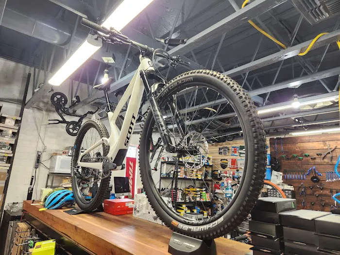 The Velo Bike Shop Picture 8