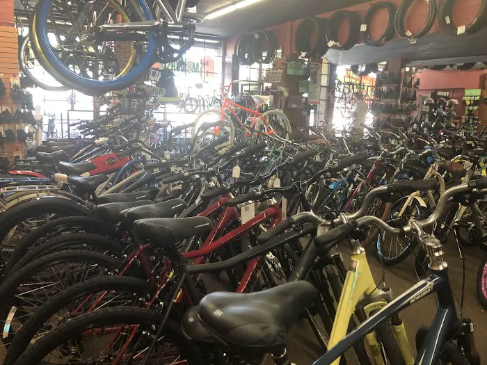 SUN Cyclery Picture 8