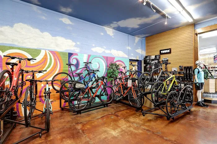 Landis Cyclery Picture 6