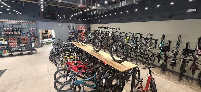 ERIK'S - Electric Bikes Picture 3