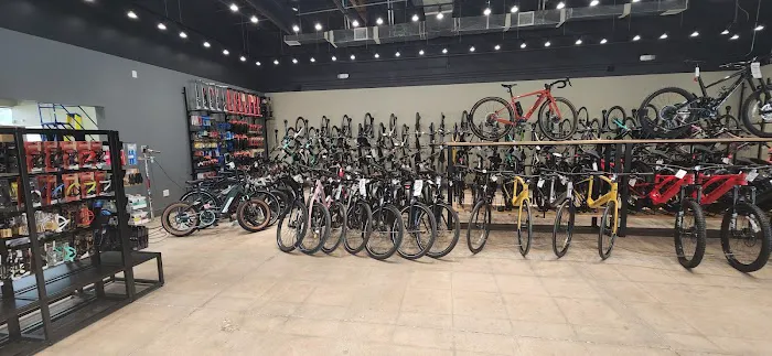 ERIK'S - Electric Bikes Picture 4