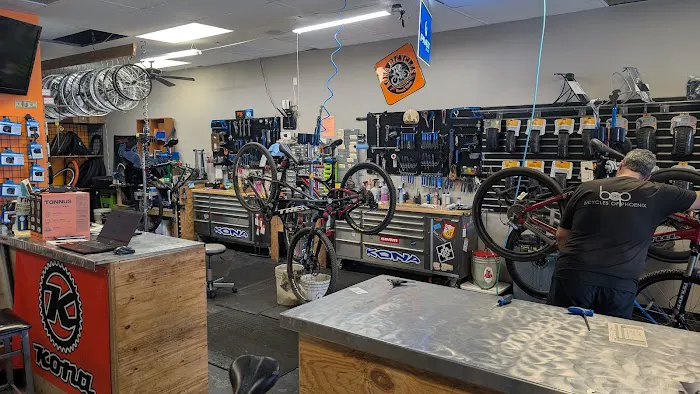 Bicycles of Phoenix Picture 5