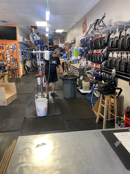 Bicycles of Phoenix Picture 4
