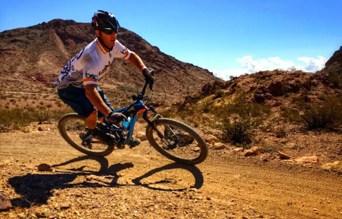 Bicycles of Phoenix Picture 3