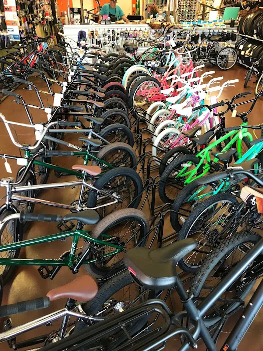 Bicycles of Phoenix Picture 10