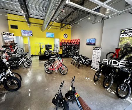 Rogue Electric Cyclery