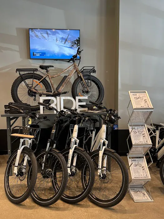 Rogue Electric Cyclery Picture 4