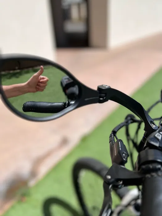 Rogue Electric Cyclery Picture 6