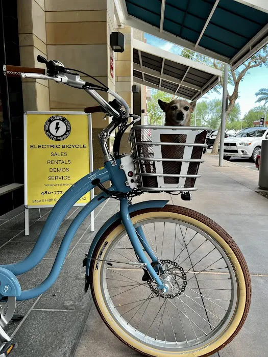 Rogue Electric Cyclery Picture 7