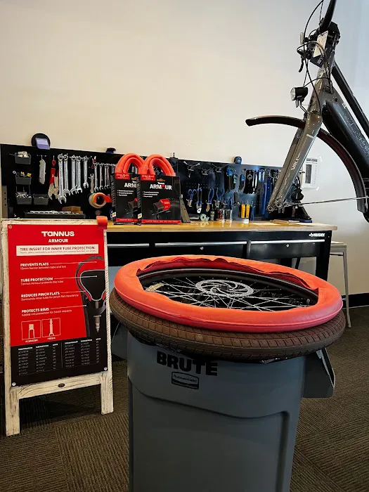 Rogue Electric Cyclery Picture 9