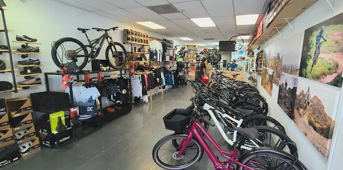 Dream Cycles Picture 2