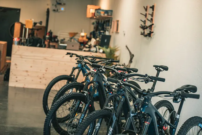 Dream Cycles Picture 5