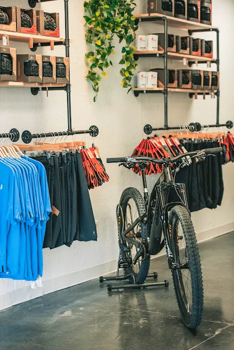 Dream Cycles Picture 9