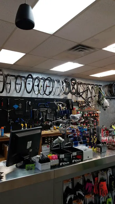 Shadetree Bikes - Bicycles, Parts and Service Picture 3