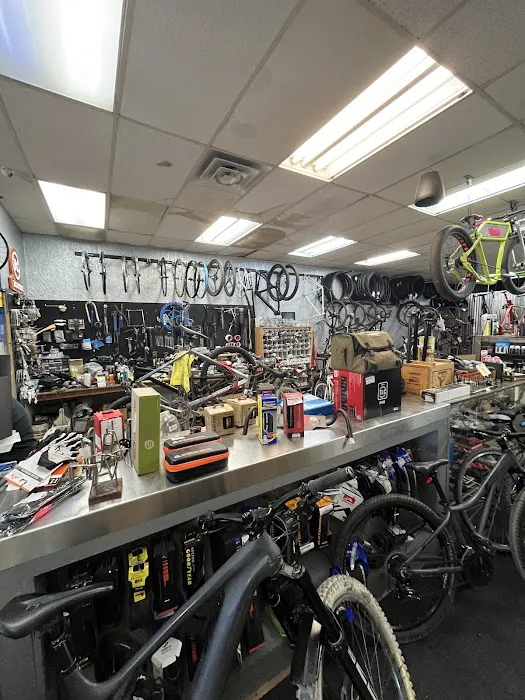 Shadetree Bikes - Bicycles, Parts and Service Picture 4