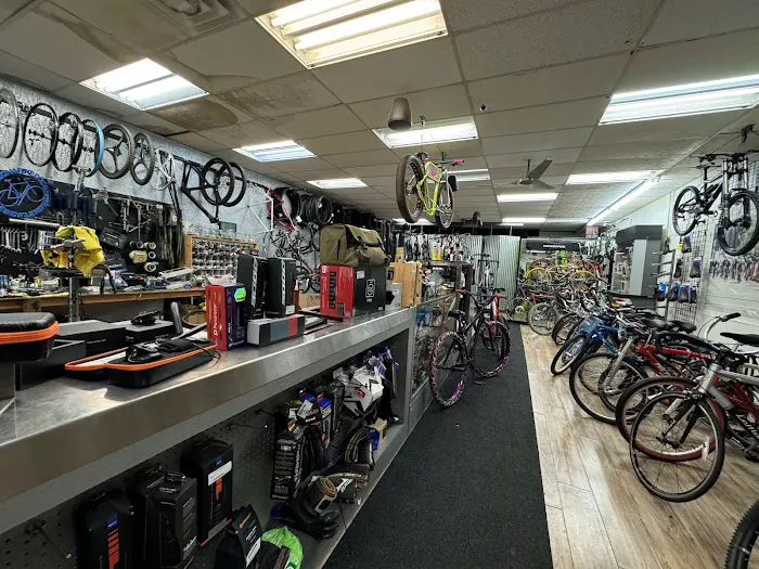 Shadetree Bikes - Bicycles, Parts and Service Picture 8