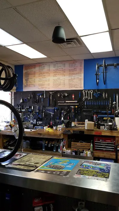 Shadetree Bikes - Bicycles, Parts and Service Picture 10