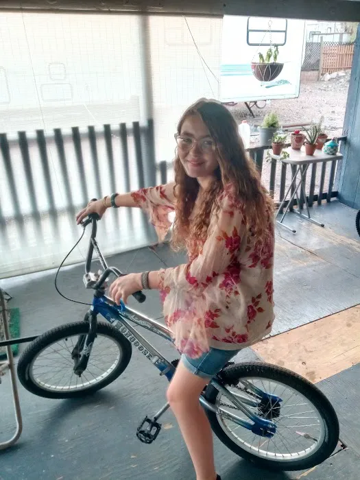 Shadetree Bikes - Bicycles, Parts and Service Picture 9