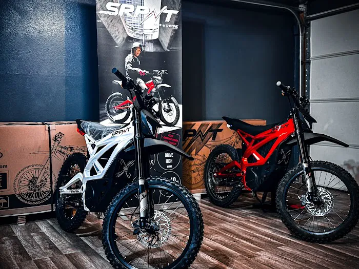 Hansimoto Electric Powersports Picture 5