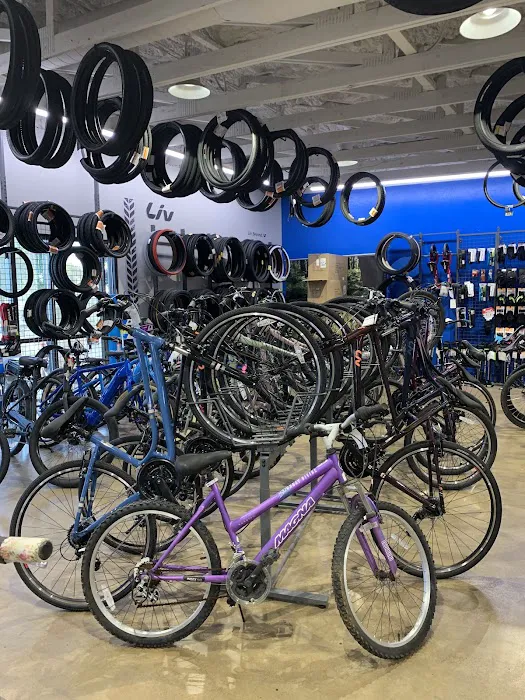 Golden Spoke Cyclery Picture 6