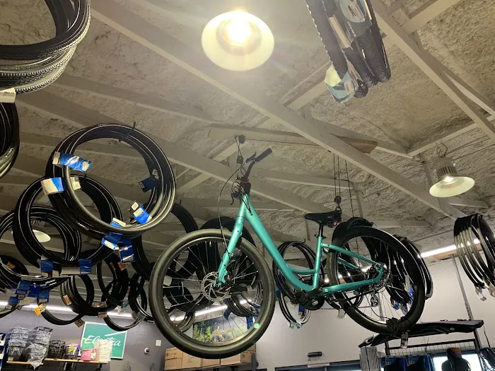 Golden Spoke Cyclery Picture 8