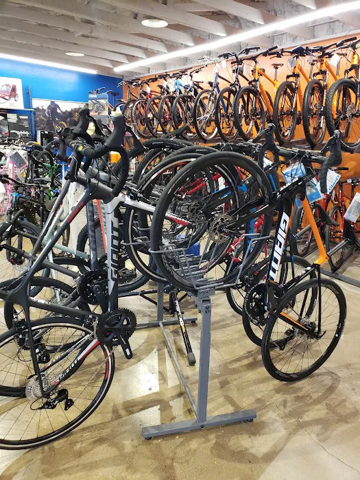 Golden Spoke Cyclery Picture 9