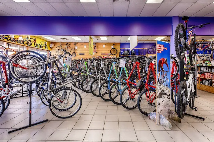 Exhale Bikes Picture 5