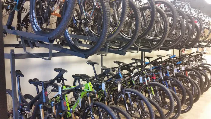 Sonoran Cycles Bike Shop Picture 1