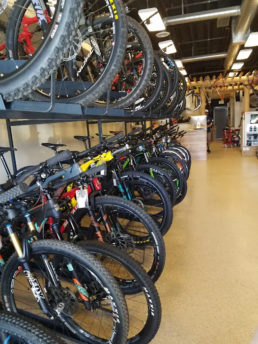 Sonoran Cycles Bike Shop Picture 4